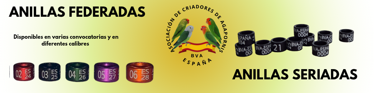 Anillas_20250320_210800_0000