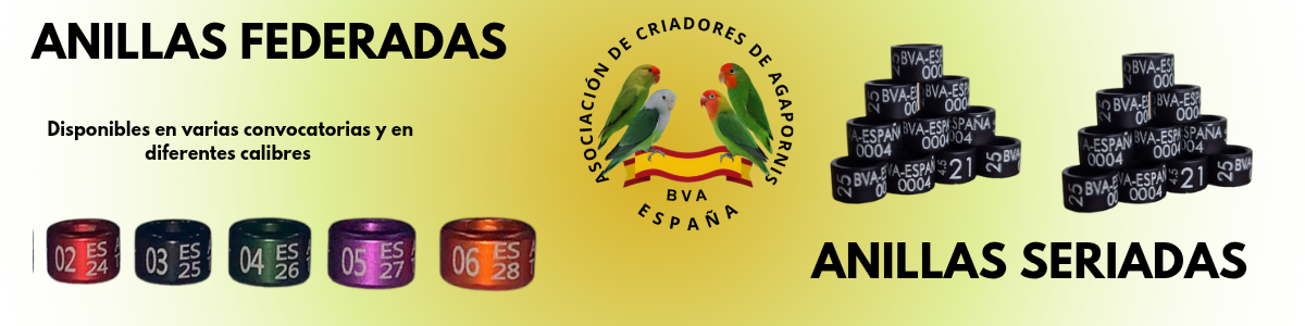 Anillas_20250320_211627_0000