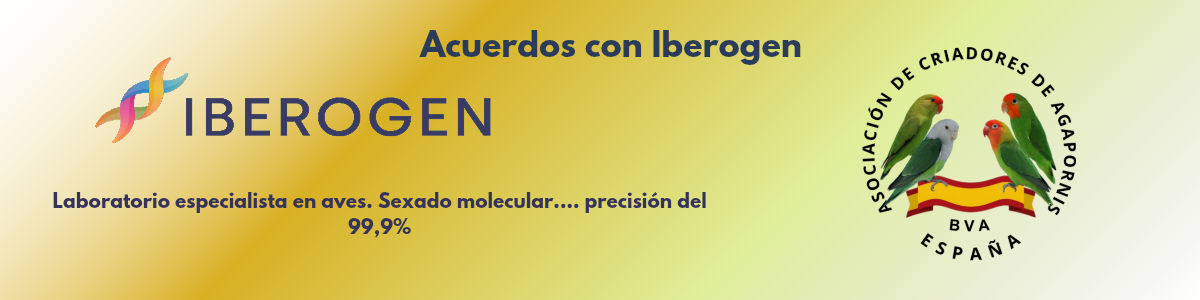 IBEROGEN_20250309_122241_0000